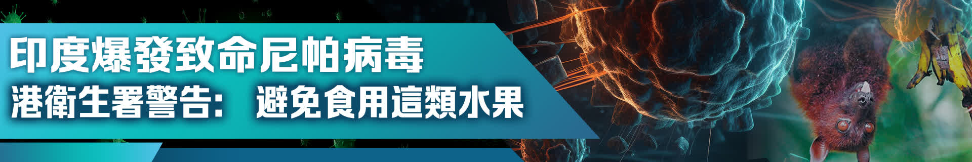 印度爆發致命尼帕病毒　港衞生署警告：避免食用這類水果