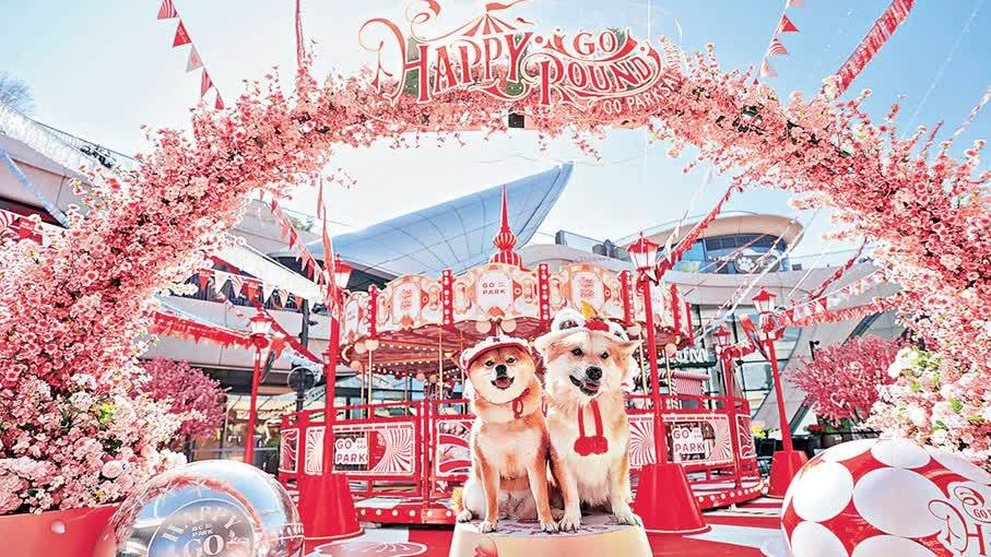 全港寵物友善地點大整合　帶上毛孩一起過新年！