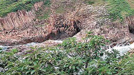 日本茨城縣山林發現一具中國籍女性遺體
