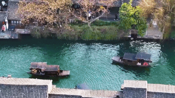 （有片）這是春日裏的大美中國