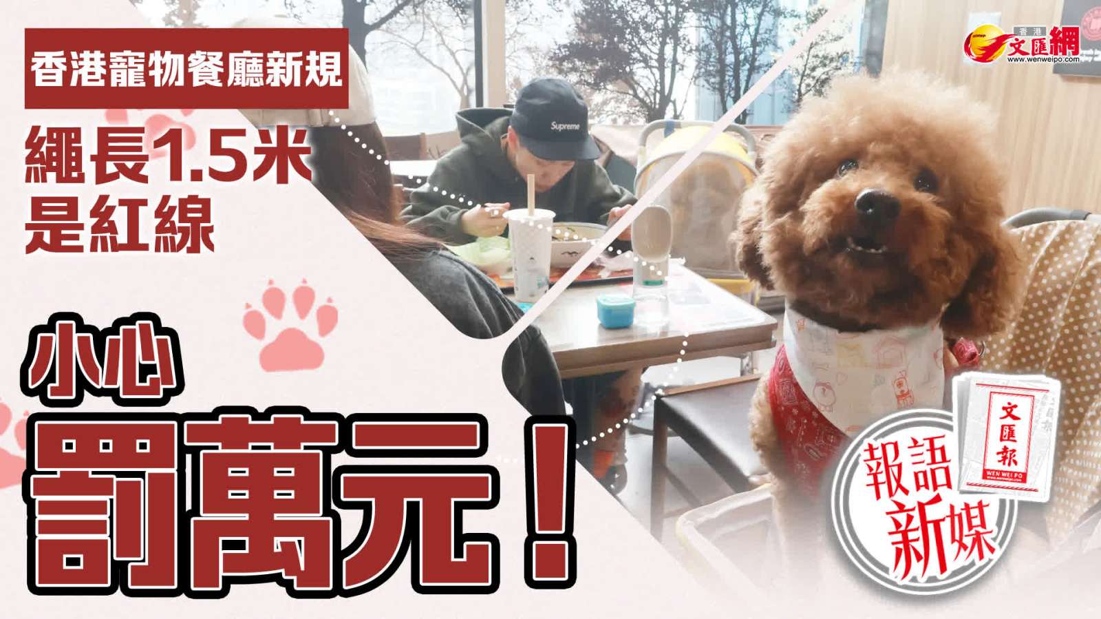 報語新媒｜小心罰萬元！香港寵物餐廳新規　繩長1.5米是紅線