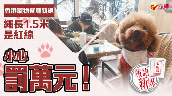 報語新媒｜小心罰萬元！香港寵物餐廳新規　繩長1.5米是紅線