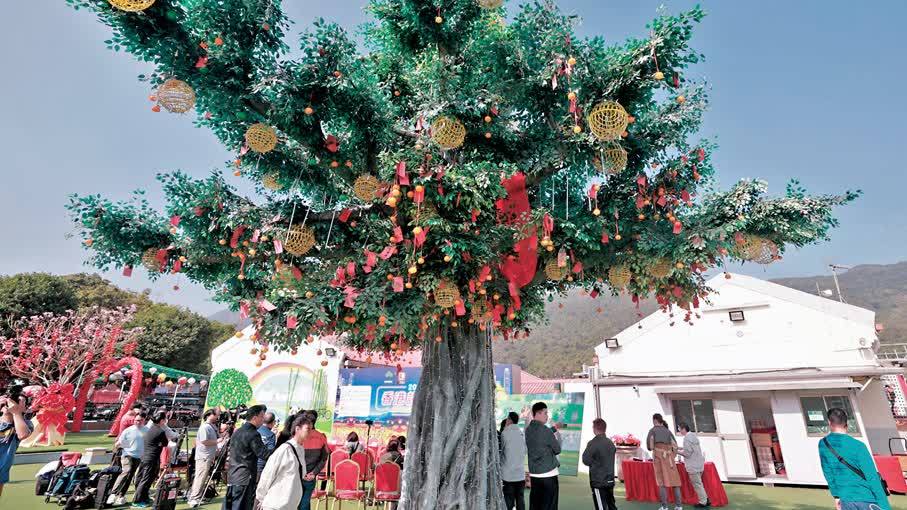 首設許願夜市　今年林村許願節大升級