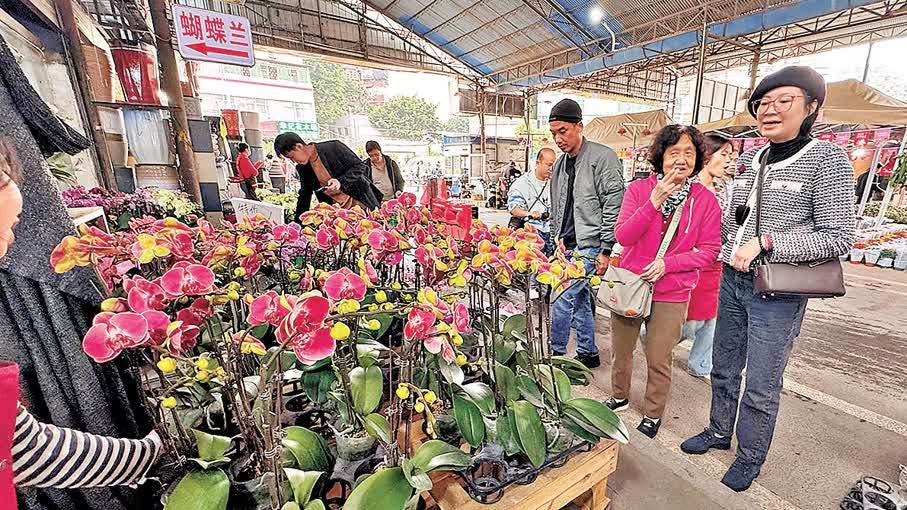 年花「又平又靚」！廣州花市爆單　港人拚團搶購