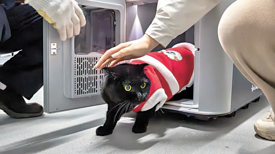 首個寵物春運來了！親測：全程專人看護　一路舒舒服服