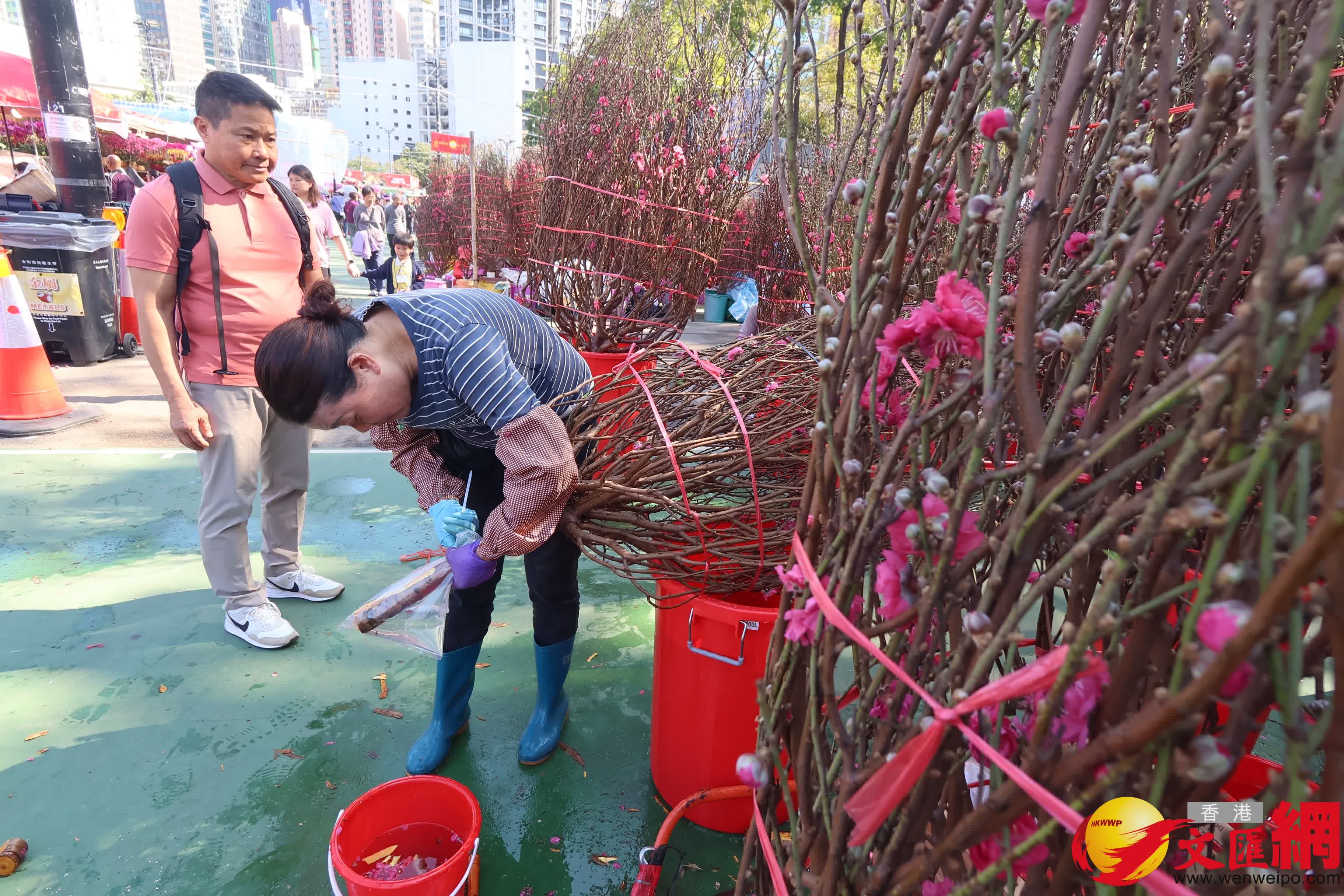 14個馬年年宵市場正式開鑼，維園現場熙熙攘攘。（香港文匯報記者 涂穴 攝）