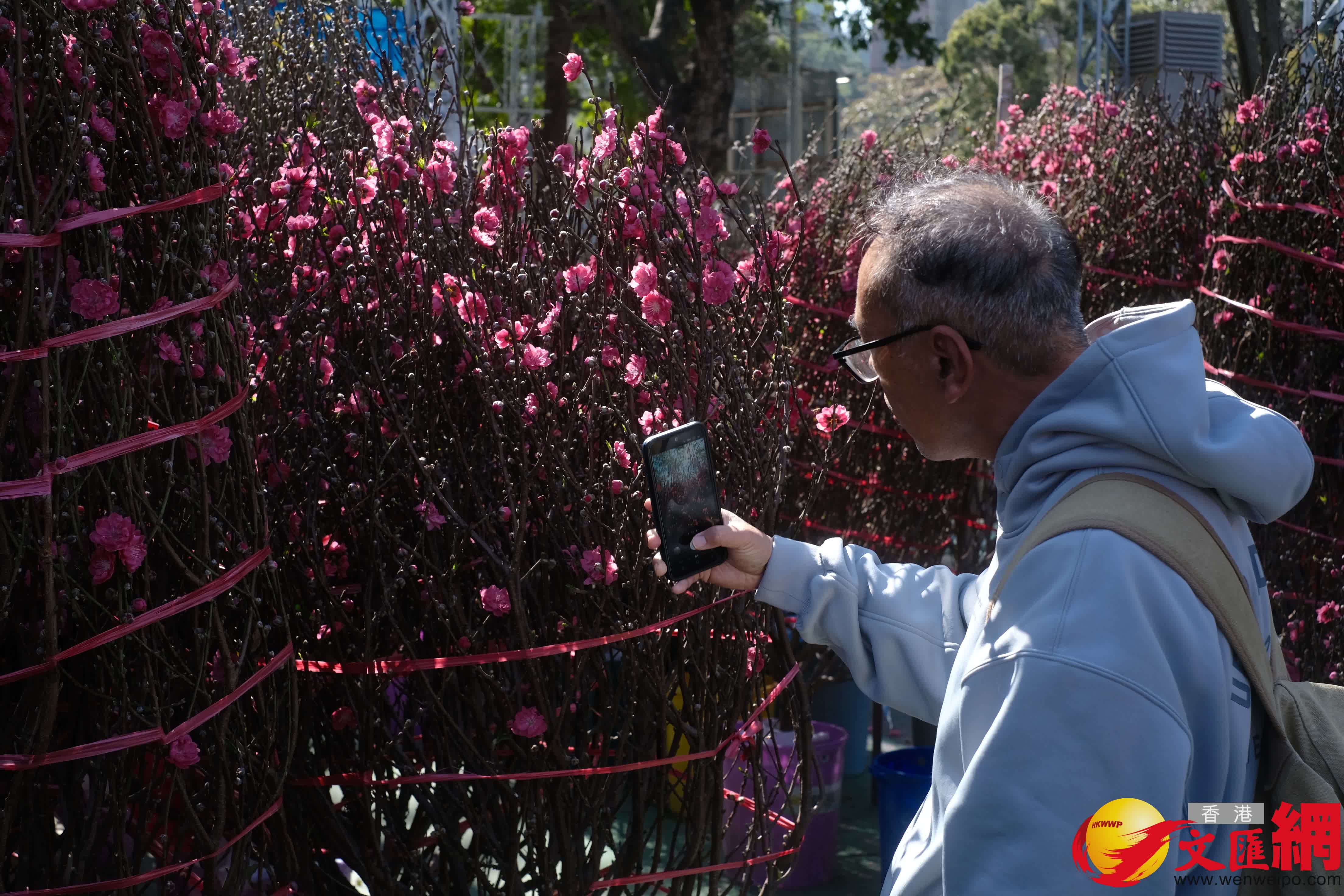 14個馬年年宵市場正式開鑼，維園現場熙熙攘攘。（香港文匯報記者 涂穴 攝）