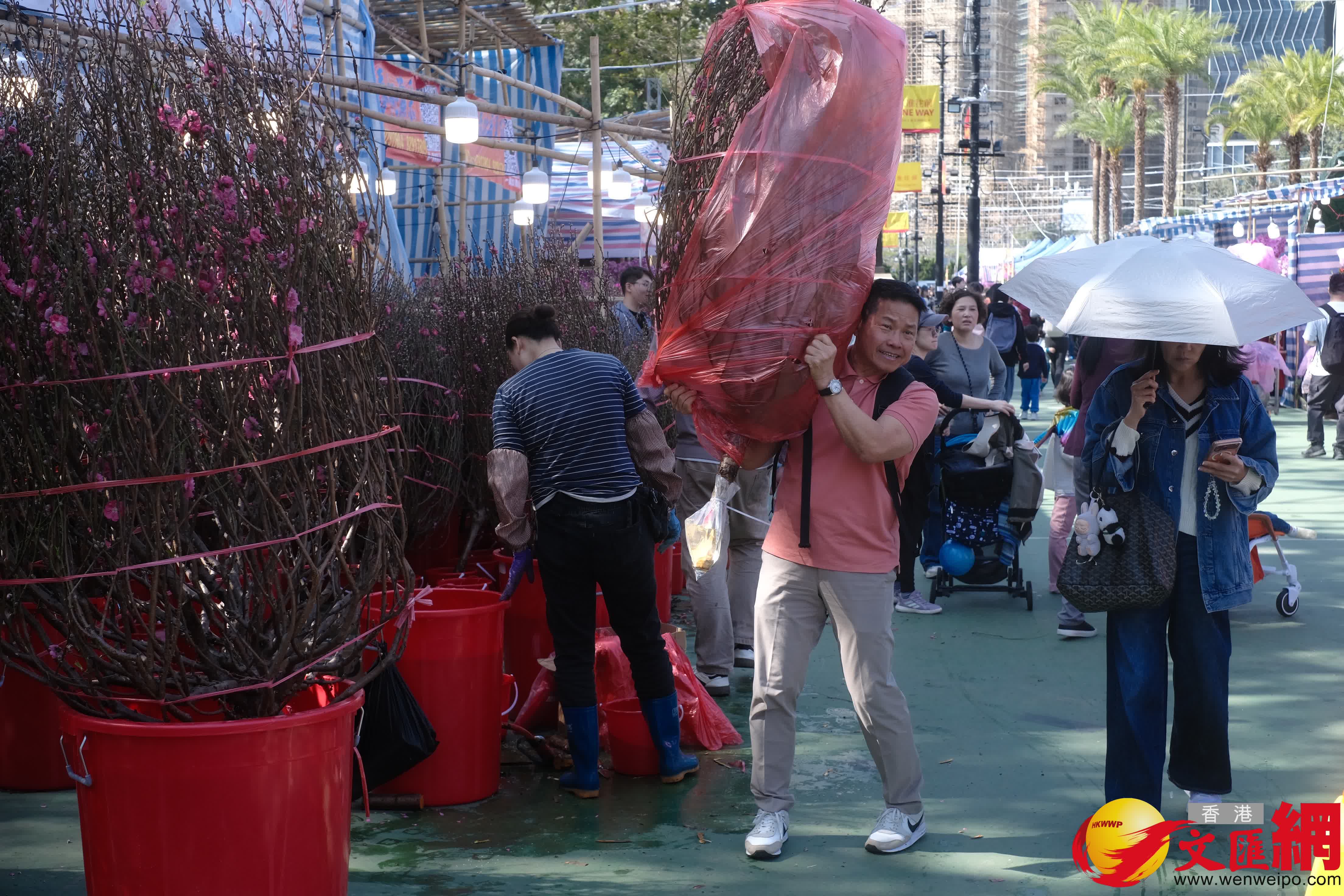 14個馬年年宵市場正式開鑼，維園現場熙熙攘攘。（香港文匯報記者 涂穴 攝）