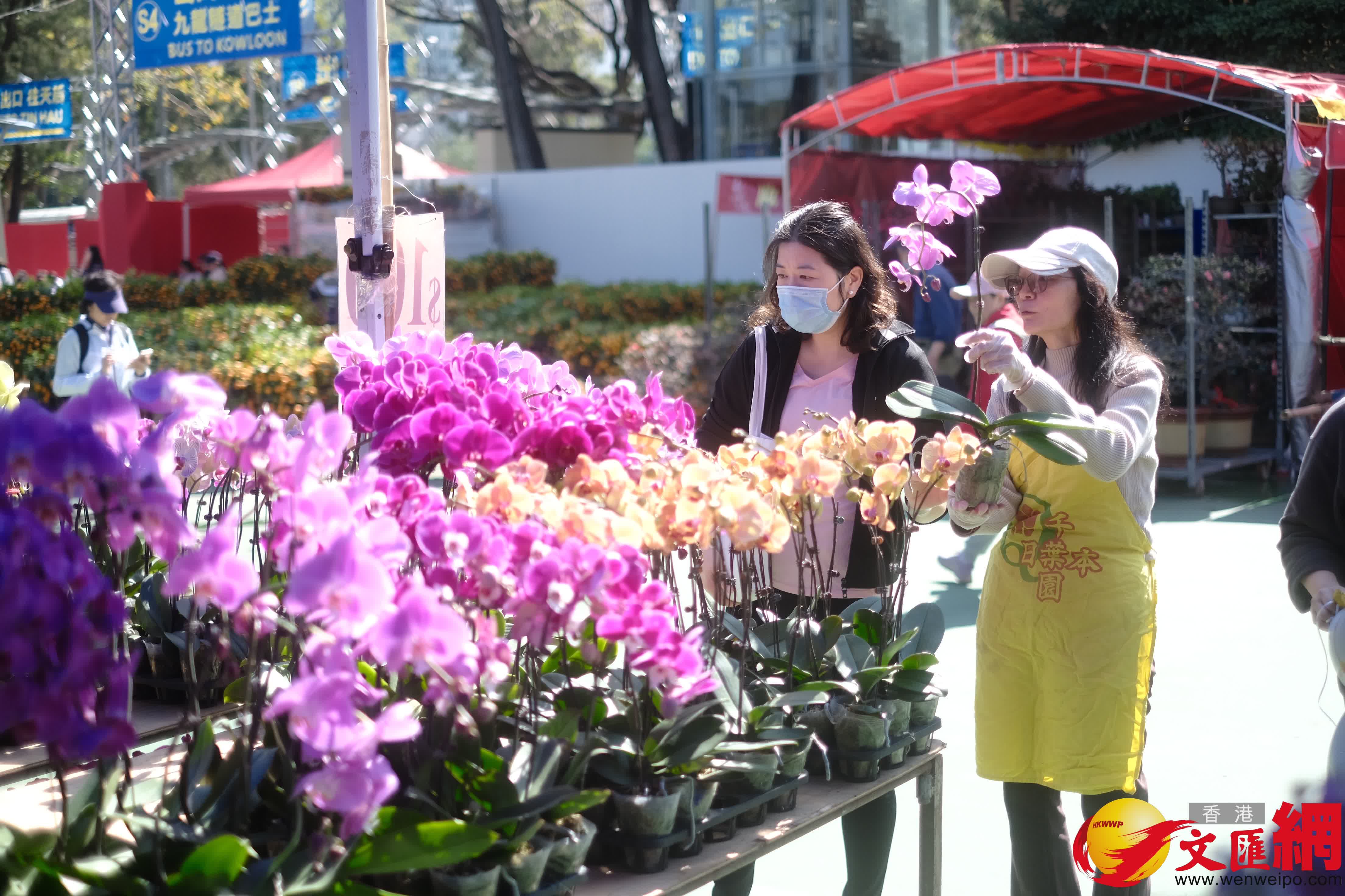 14個馬年年宵市場正式開鑼，維園現場熙熙攘攘。（香港文匯報記者 涂穴 攝）