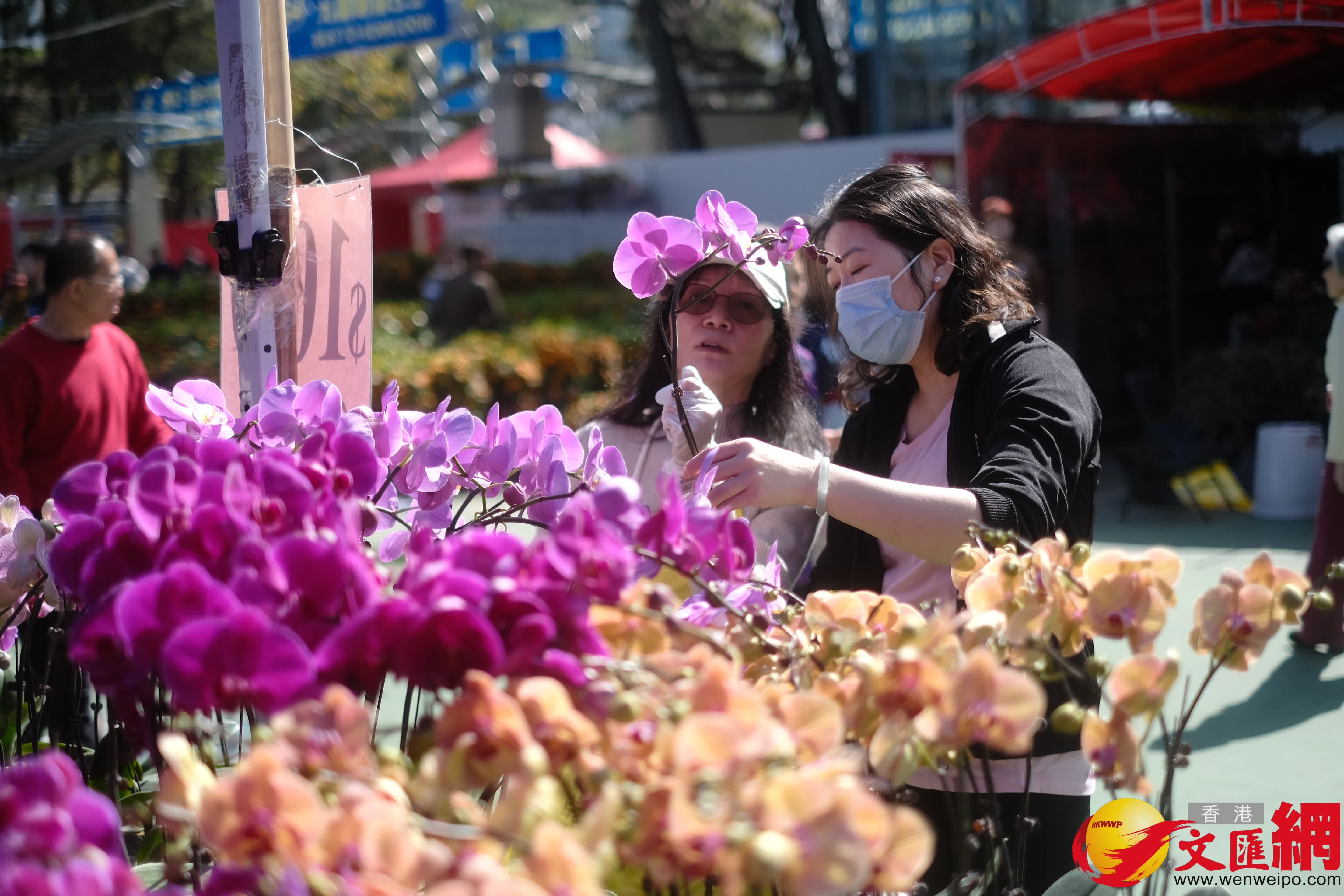 14個馬年年宵市場正式開鑼，維園現場熙熙攘攘。（香港文匯報記者 涂穴 攝）
