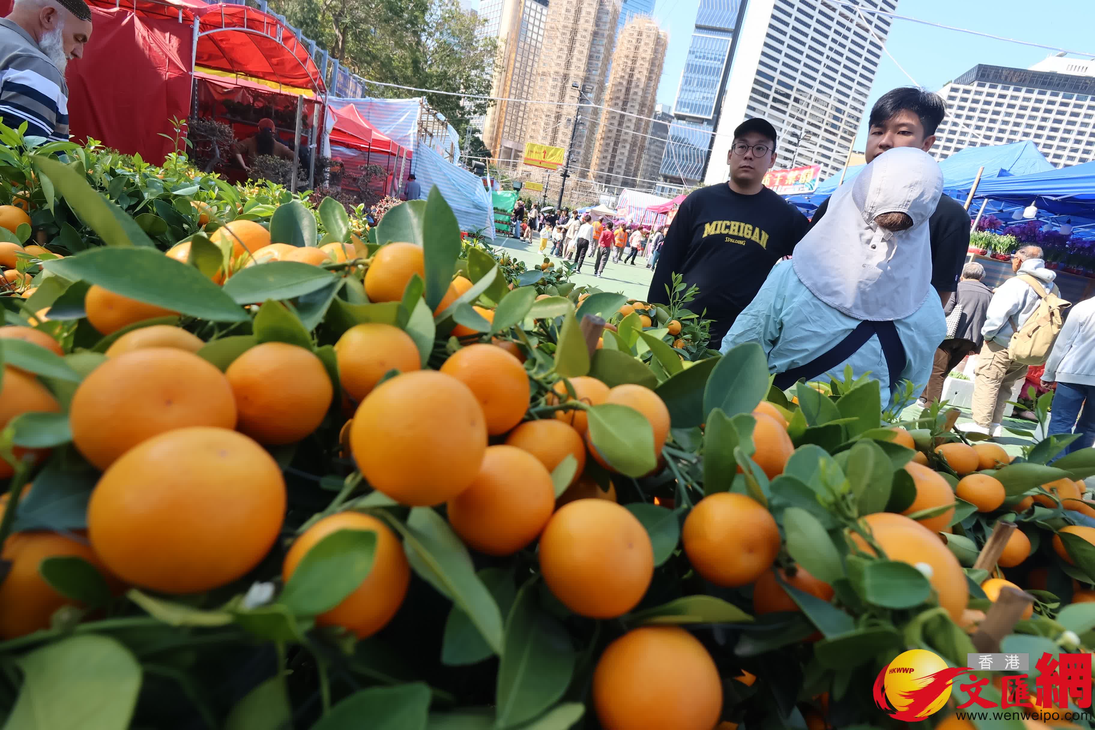 14個馬年年宵市場正式開鑼，維園現場熙熙攘攘。（香港文匯報記者 涂穴 攝）