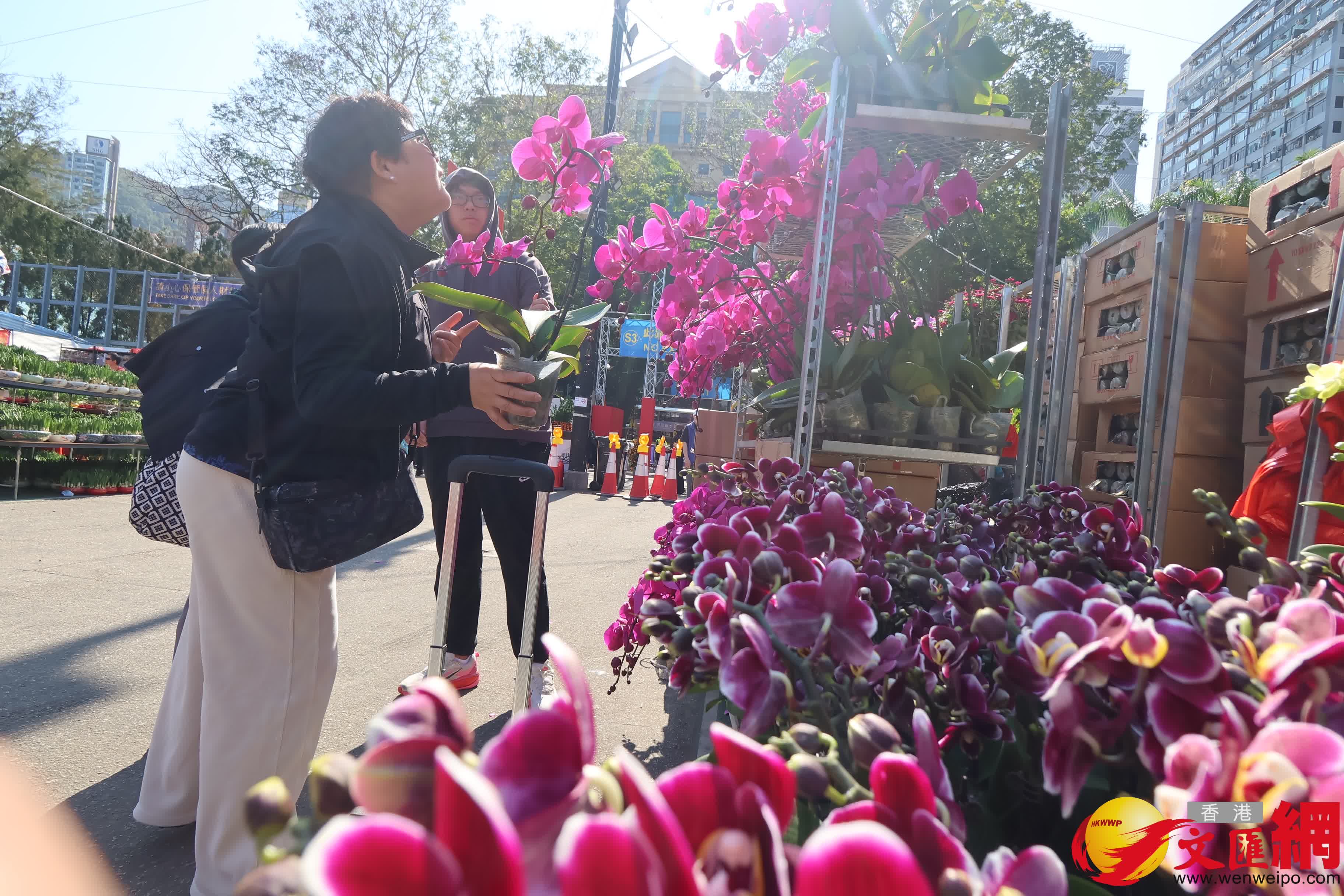 14個馬年年宵市場正式開鑼，維園現場熙熙攘攘。（香港文匯報記者 涂穴 攝）