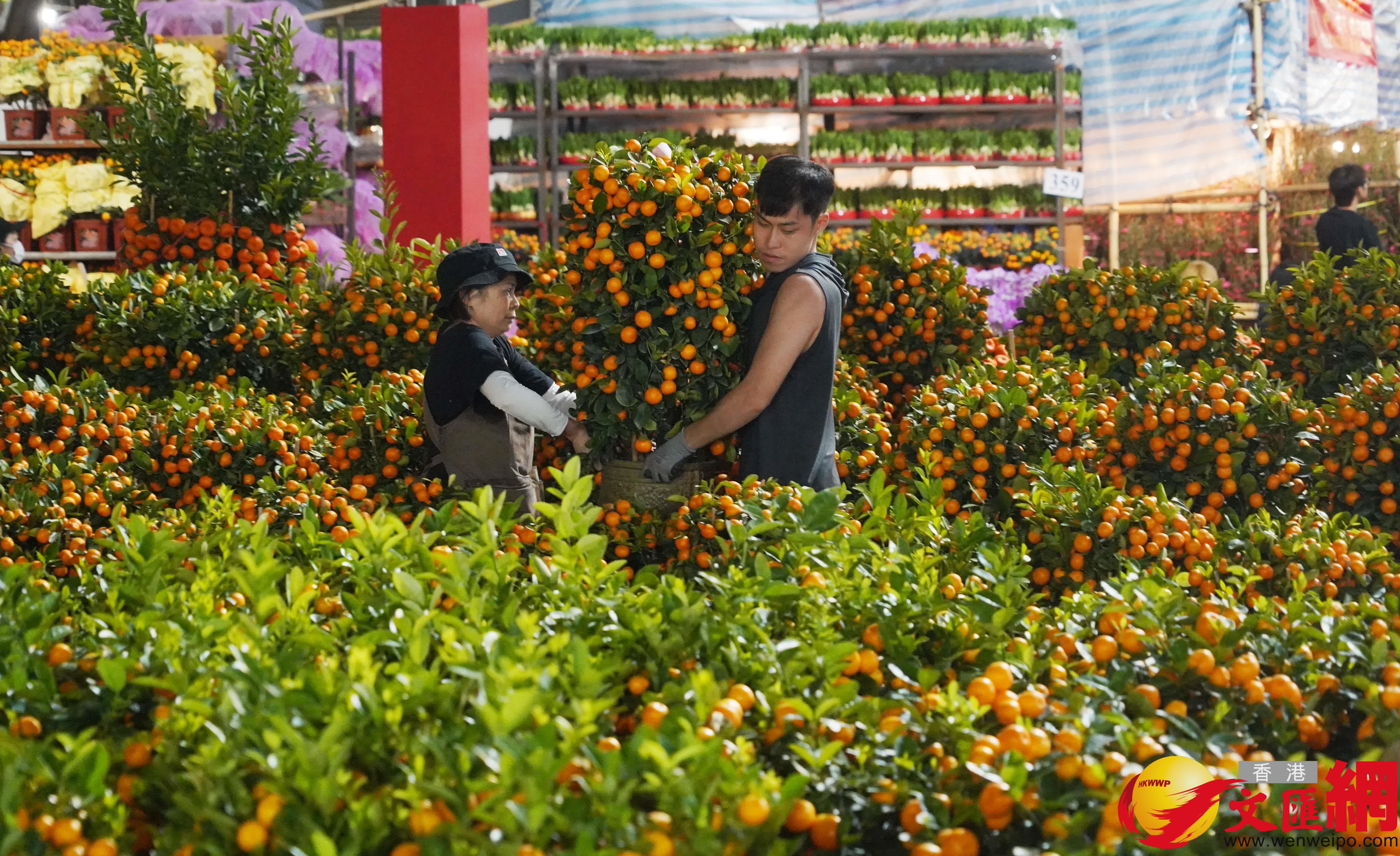 維園現場熙熙攘攘，處處洋溢着喜慶的節日氣息。（香港文匯報記者 曾興偉 攝）