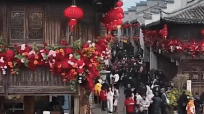 （有片）用四個「增長」看春節假日的活力與暖意