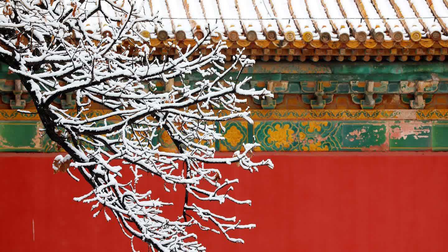 春雪覆長陵 紅牆映瓊枝　十三陵雪後新意境