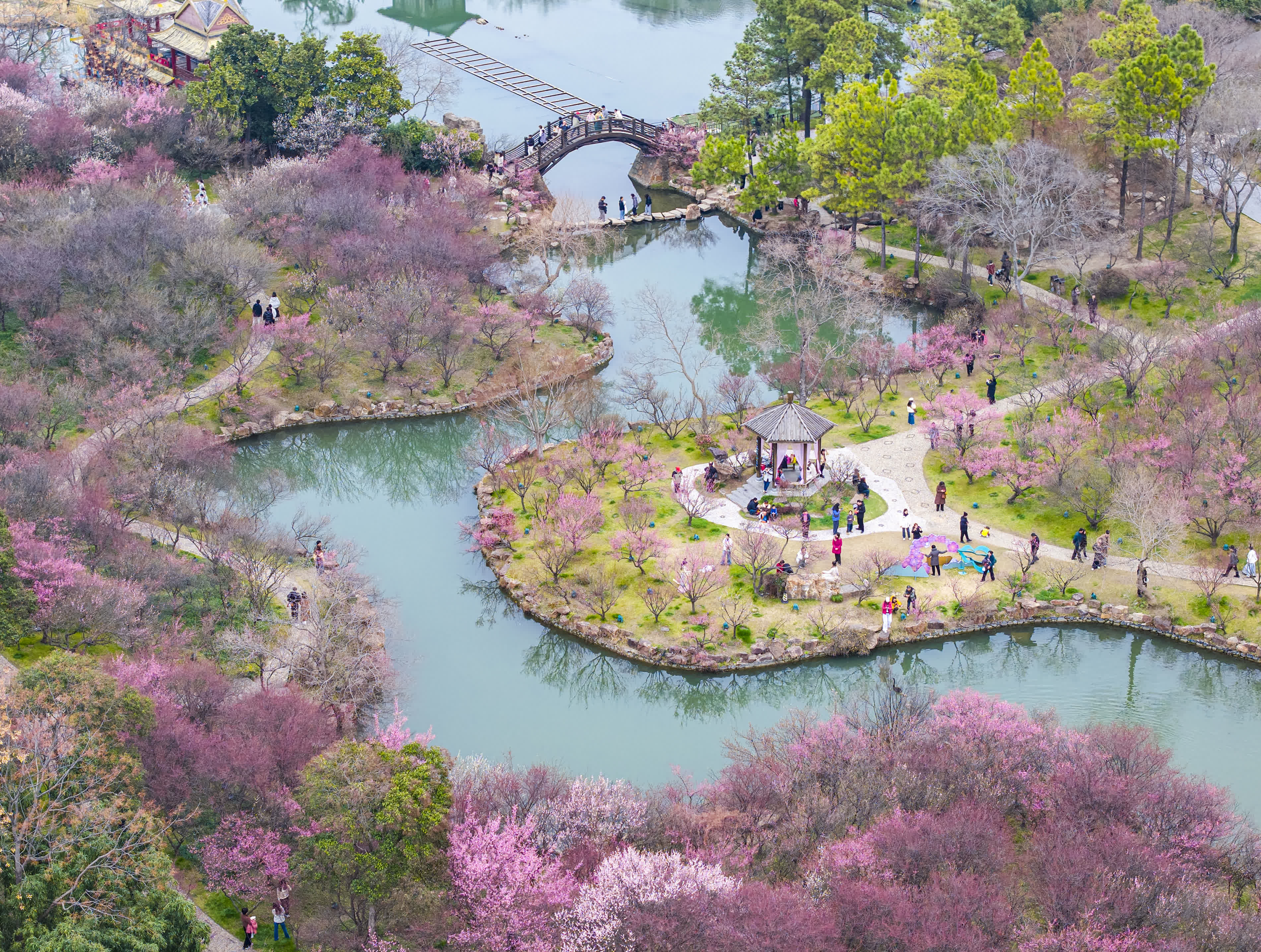 3月8日，遊客在江蘇省揚州市瘦西湖風景區遊玩。（新華社）