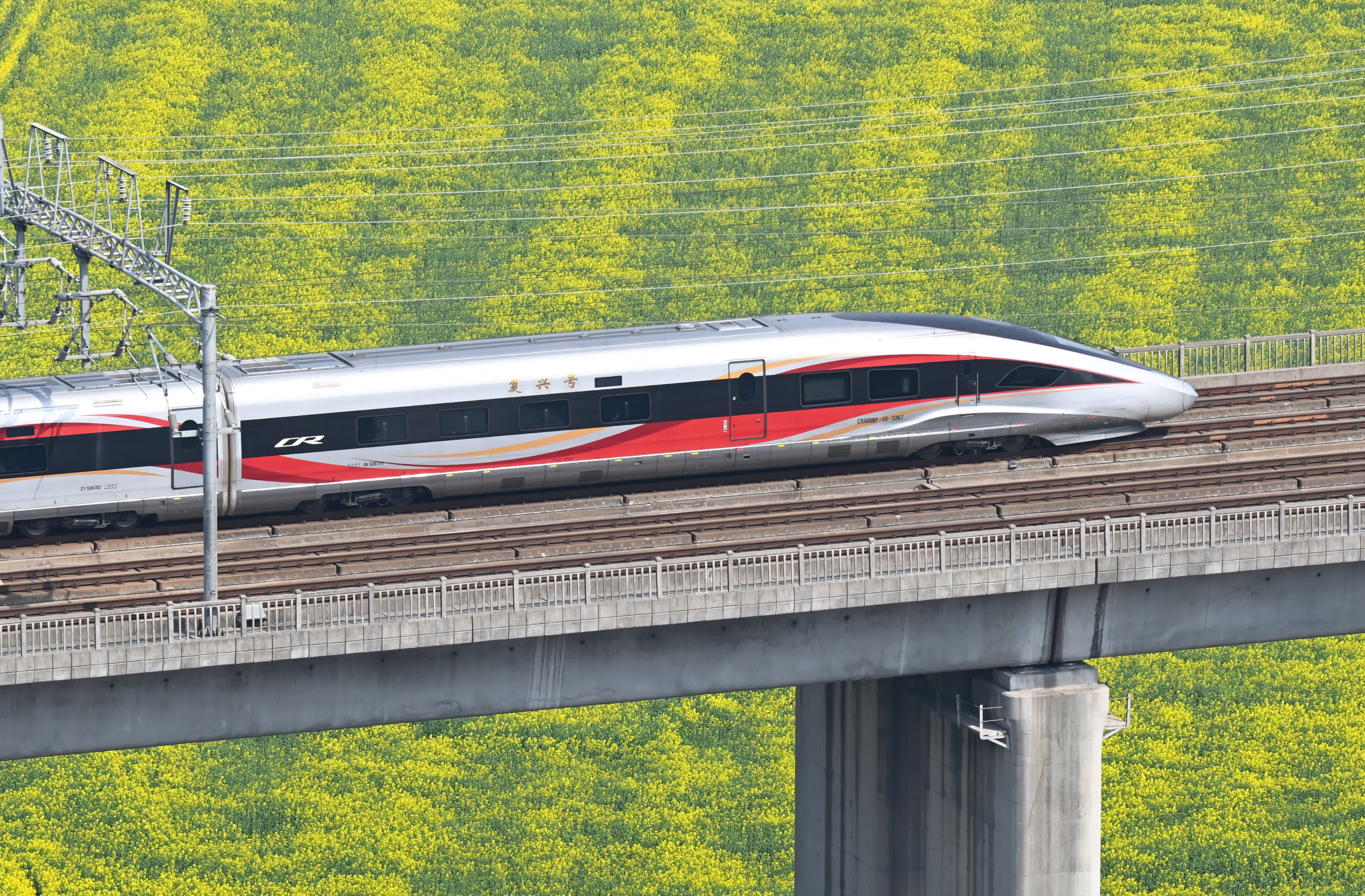 3月9日，復興號列車從彭埠大橋南的花田邊駛過。（中新社）