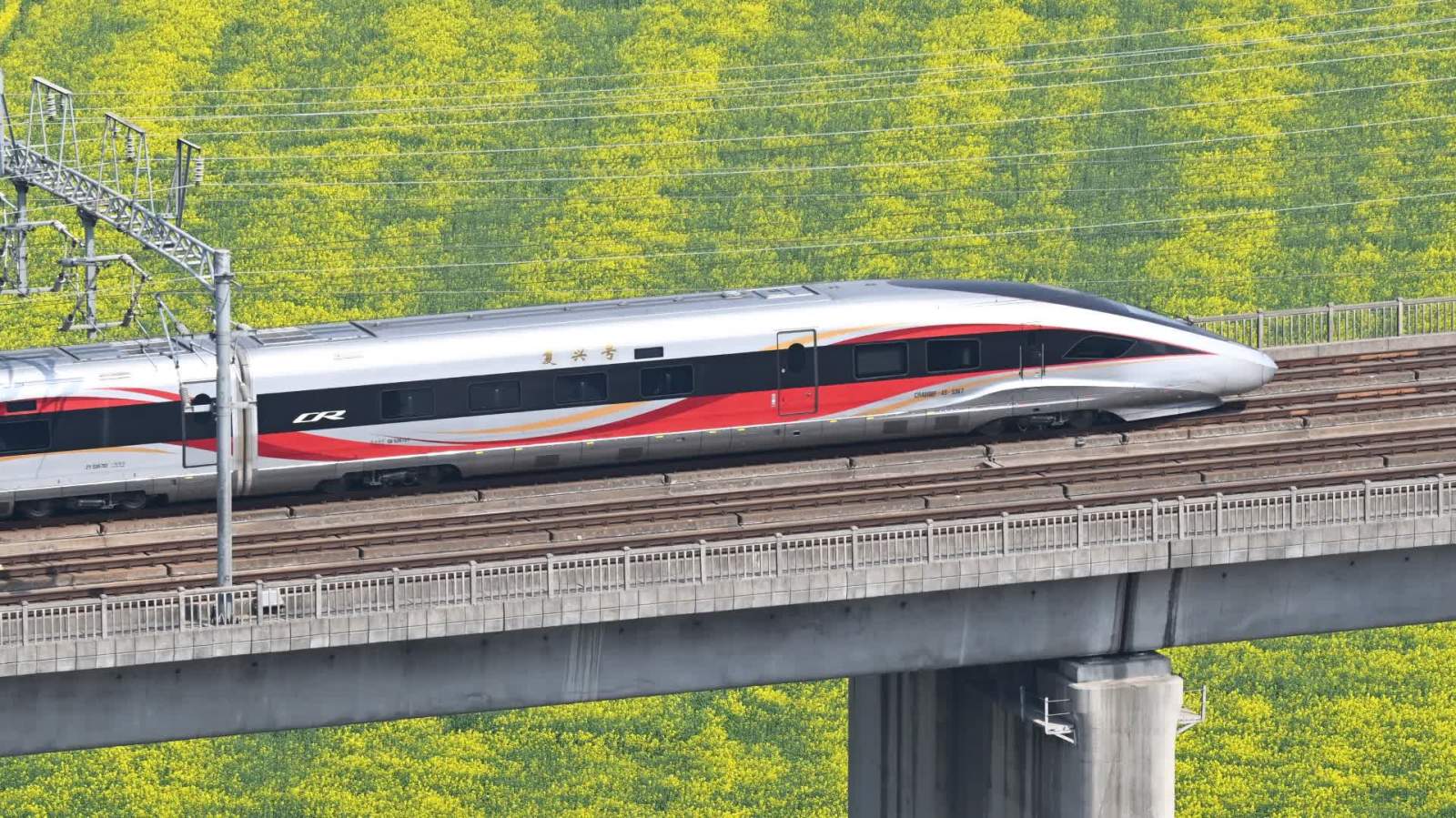 圖集｜絕美！復興號與油菜花海同框了