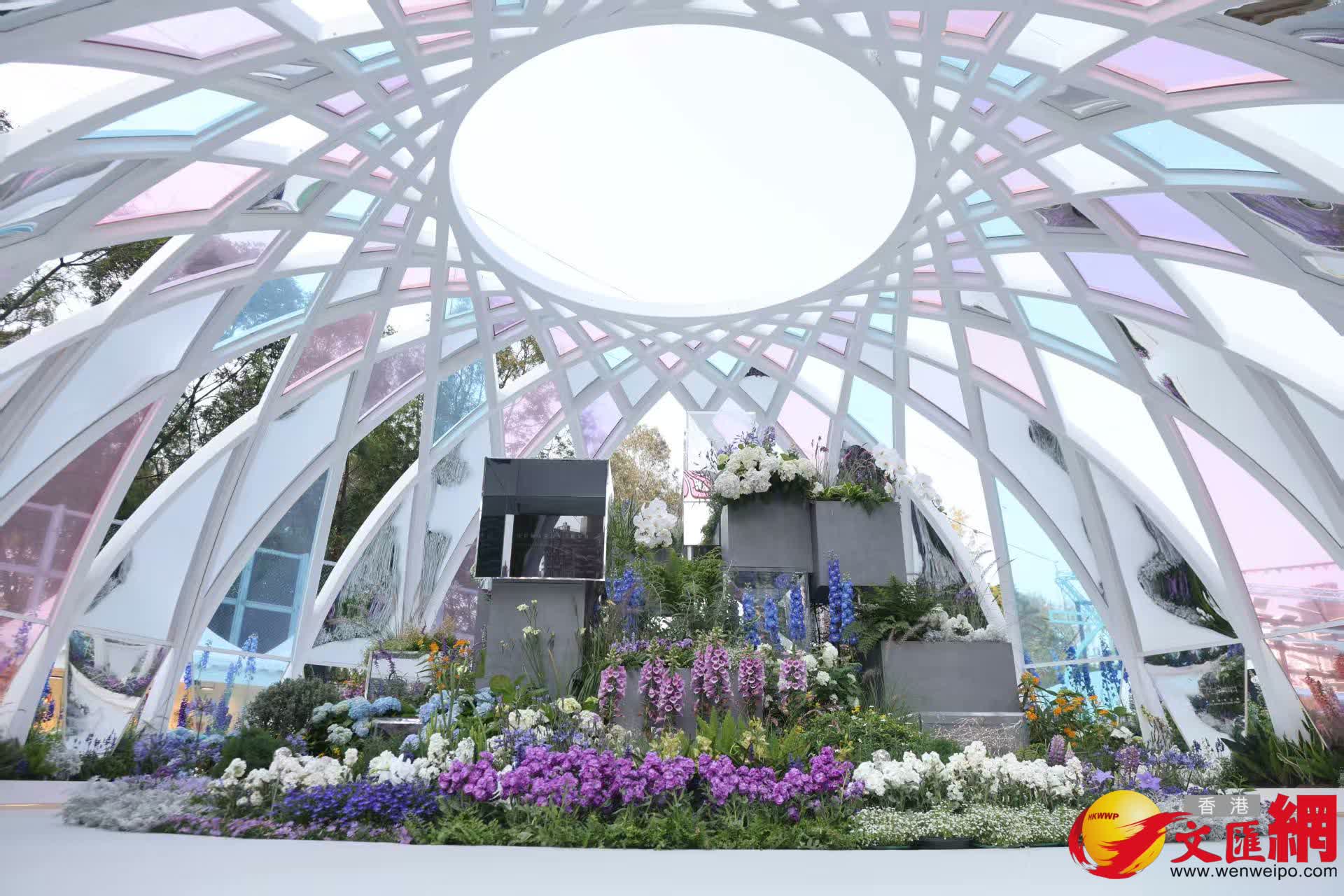 香港花卉展覽2026（香港文匯報記者黃艾力攝）