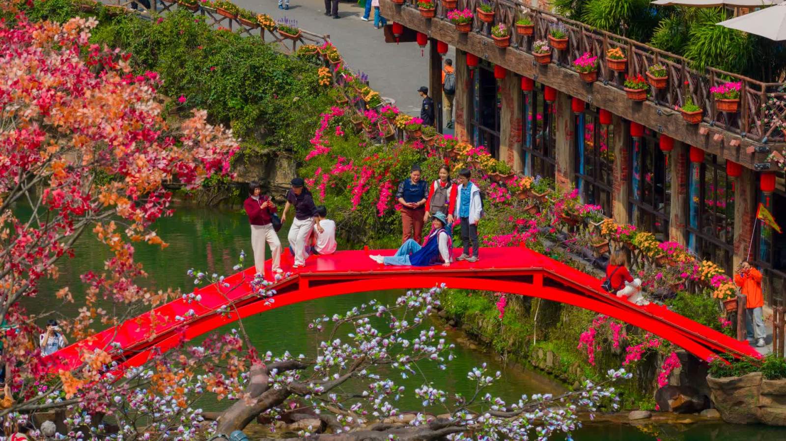 港澳居民北上春季賞花掀熱潮　灣區這些線路受青睞