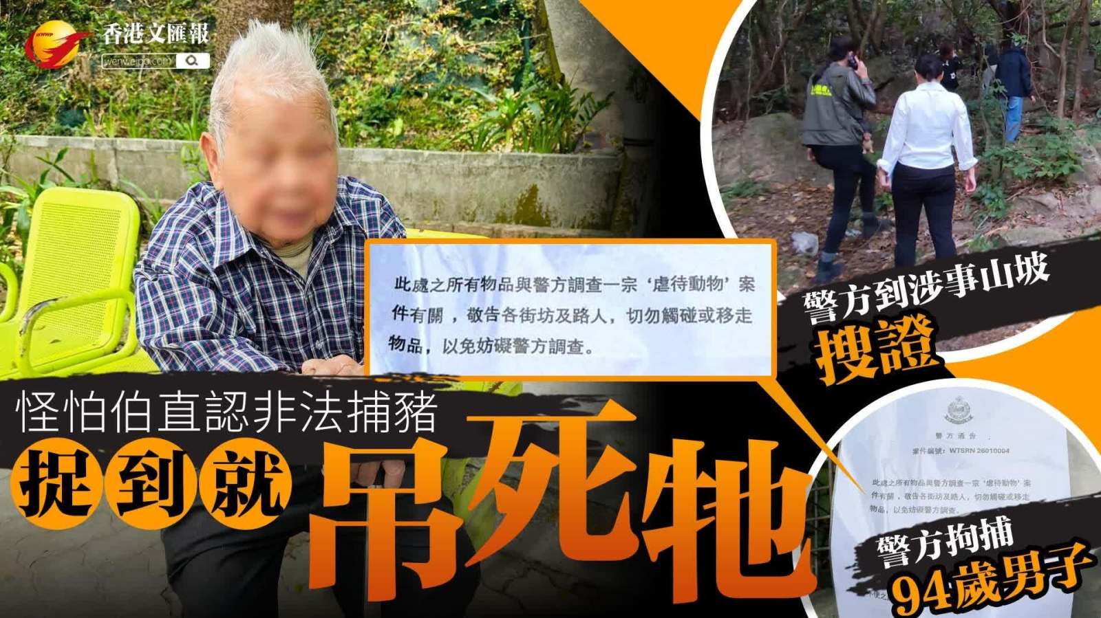 (有片) 獨家直擊野豬滅門慘案 │ 黃大仙94歲怪翁疑虐殺兼烹食野豬：「捉嚟玩之嘛！」
