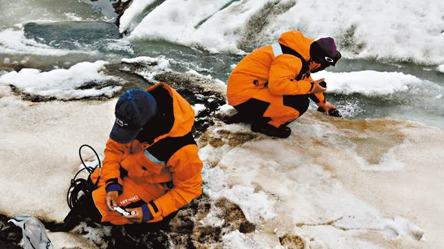 港中大揭緩解氣候變化重要元素　凍土植被復原料成全球減碳關鍵