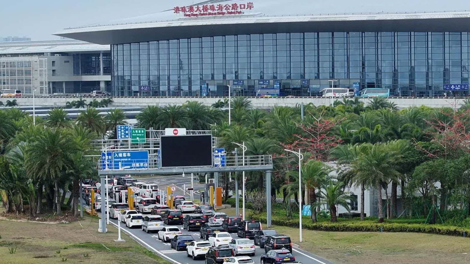港澳居民清明復活節假期出行火熱　港珠澳大橋發布通關高峰提示