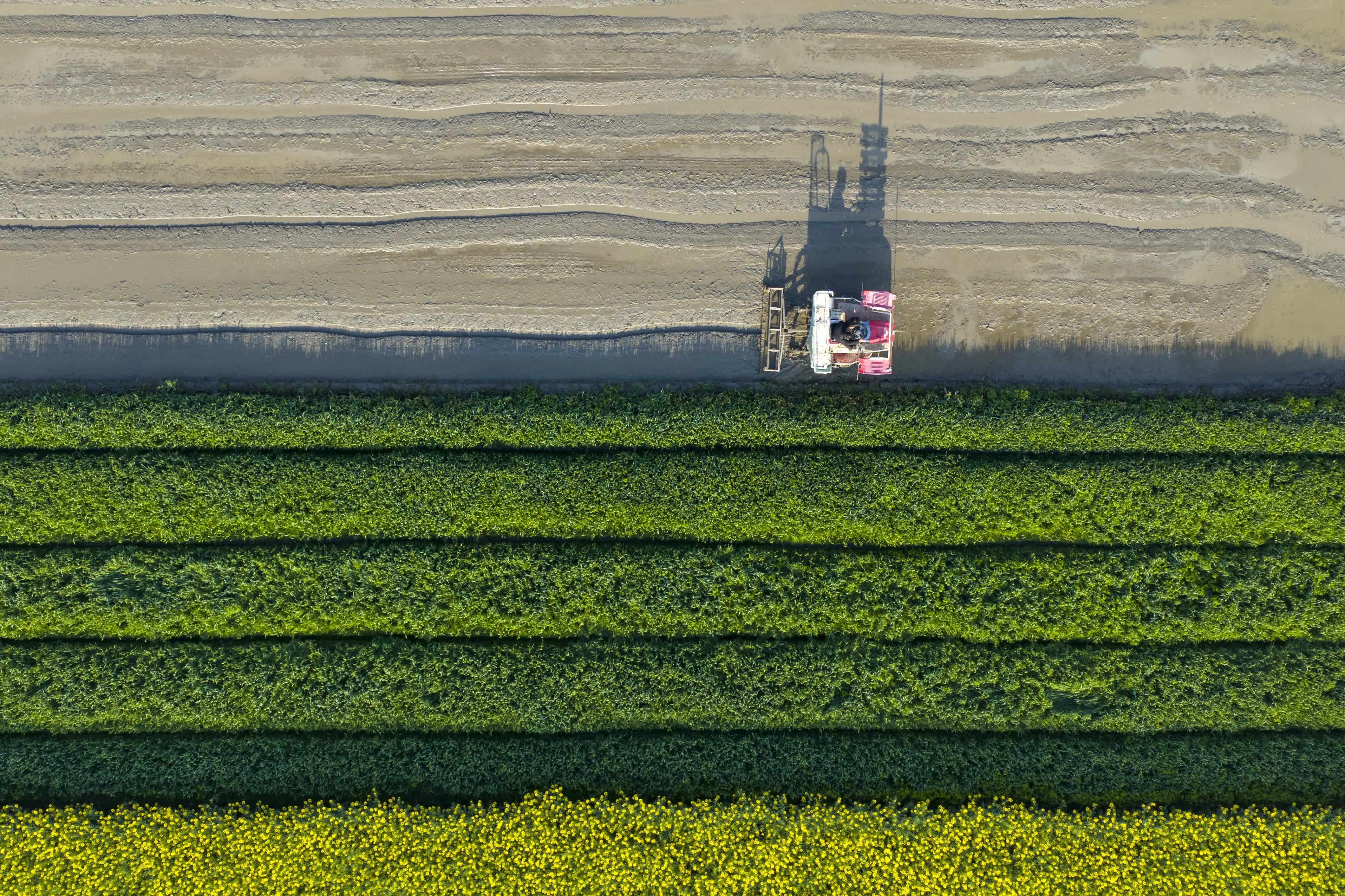 4月2日，浙江省余姚市黃家埠鎮韓夏村村民駕駛農機在田間開溝（無人機照片）。（新華社）