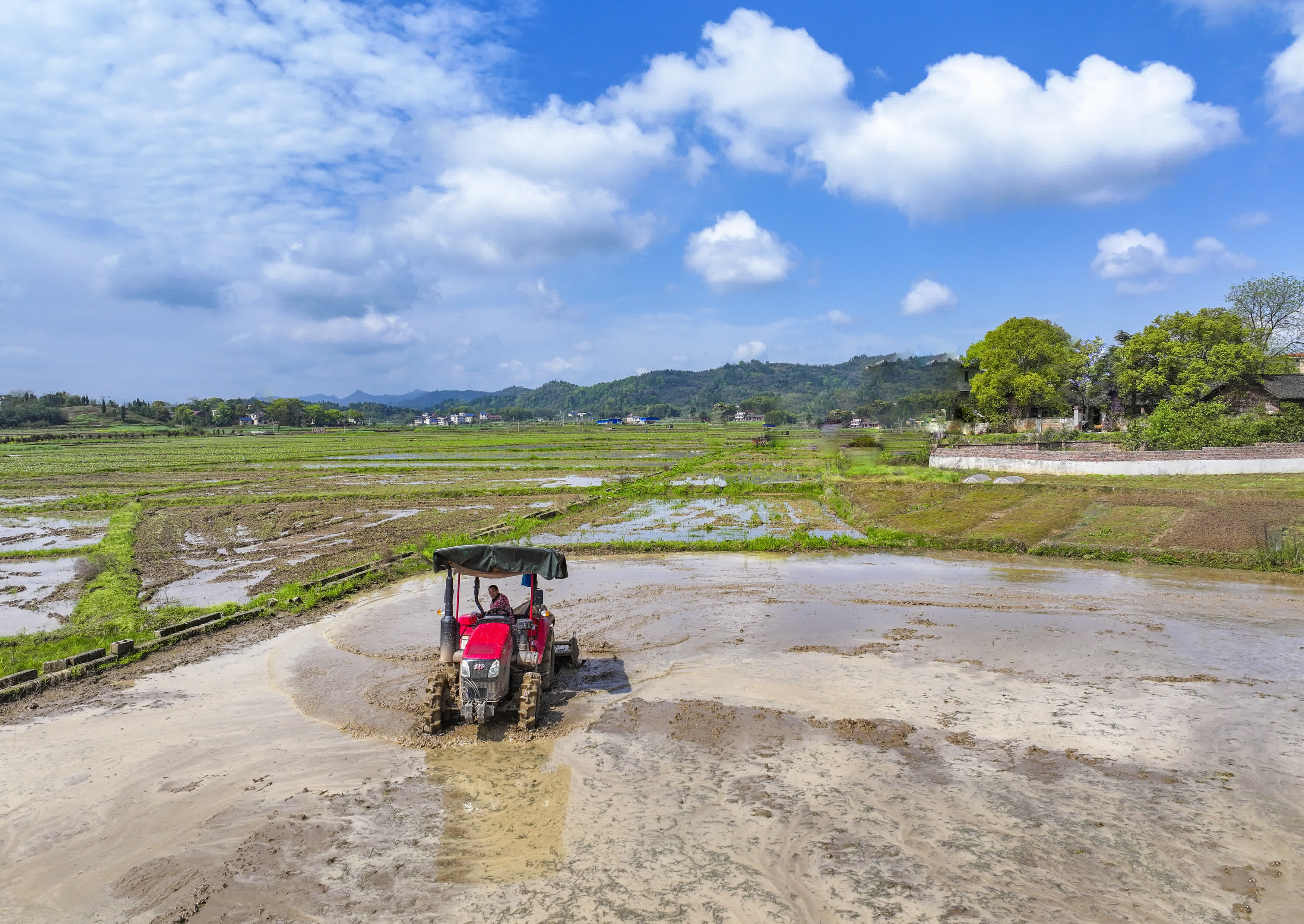 4月1日，湖南省常寧市蘭江鄉景星村，農機手駕駛農機翻耕農田，準備機插早稻秧苗（無人機照片）。（新華社）