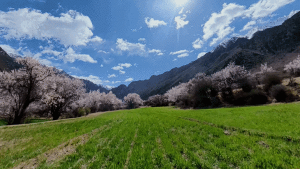 跟隨穿越機沉浸式體驗「藏北桃花源」