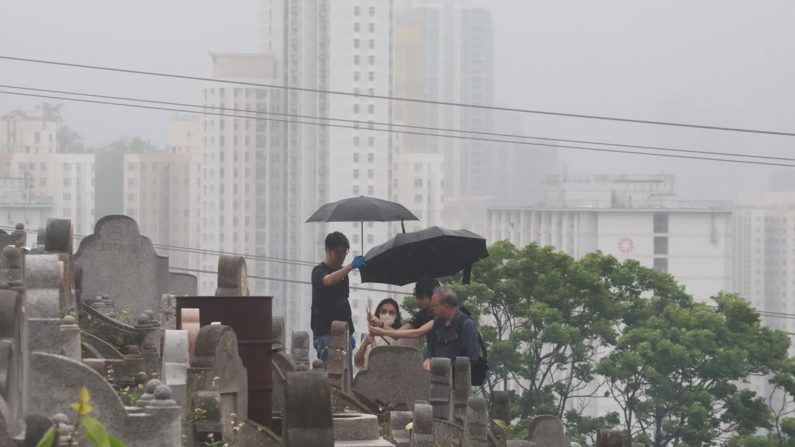 清明掃墓寄哀思