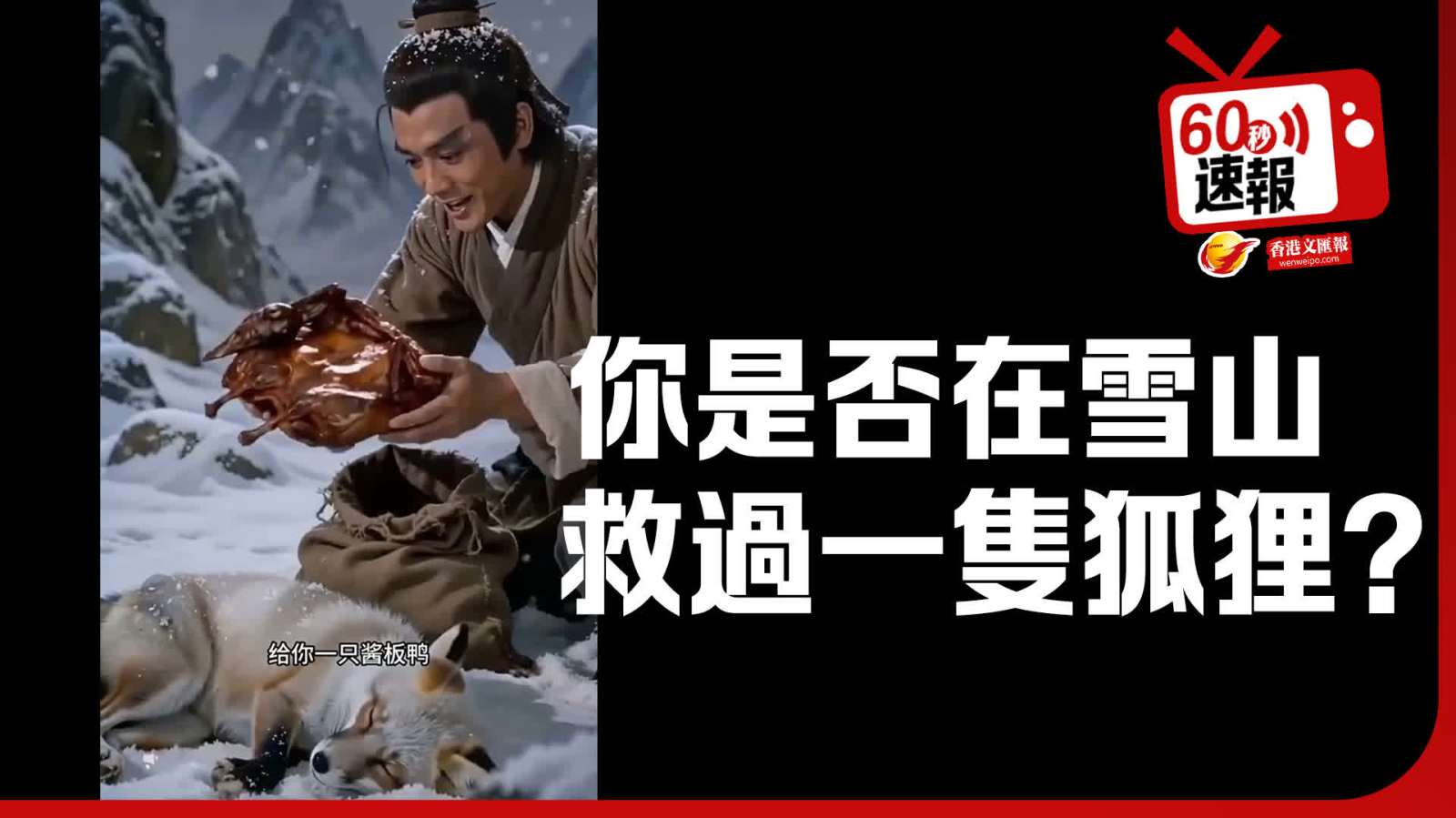 60秒速報│你是否在雪山救過一隻狐狸？