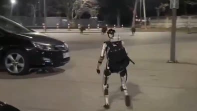 （有片）中國機器人火到波蘭：街頭攆野豬　登台講笑話