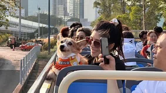 城巴推出全港首創常規寵物開篷巴士團 致力推動「寵物友善」社會