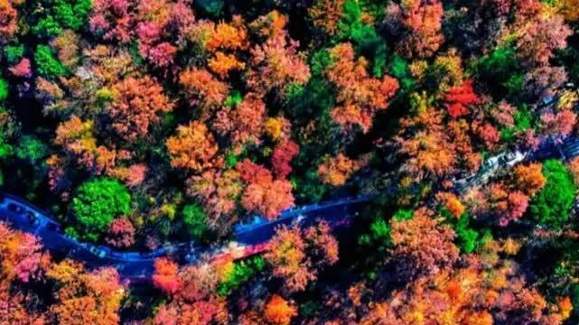 港人「五一」好去處　廣東這條生態遊線入選國家推薦　串聯灣區7處自然保護地