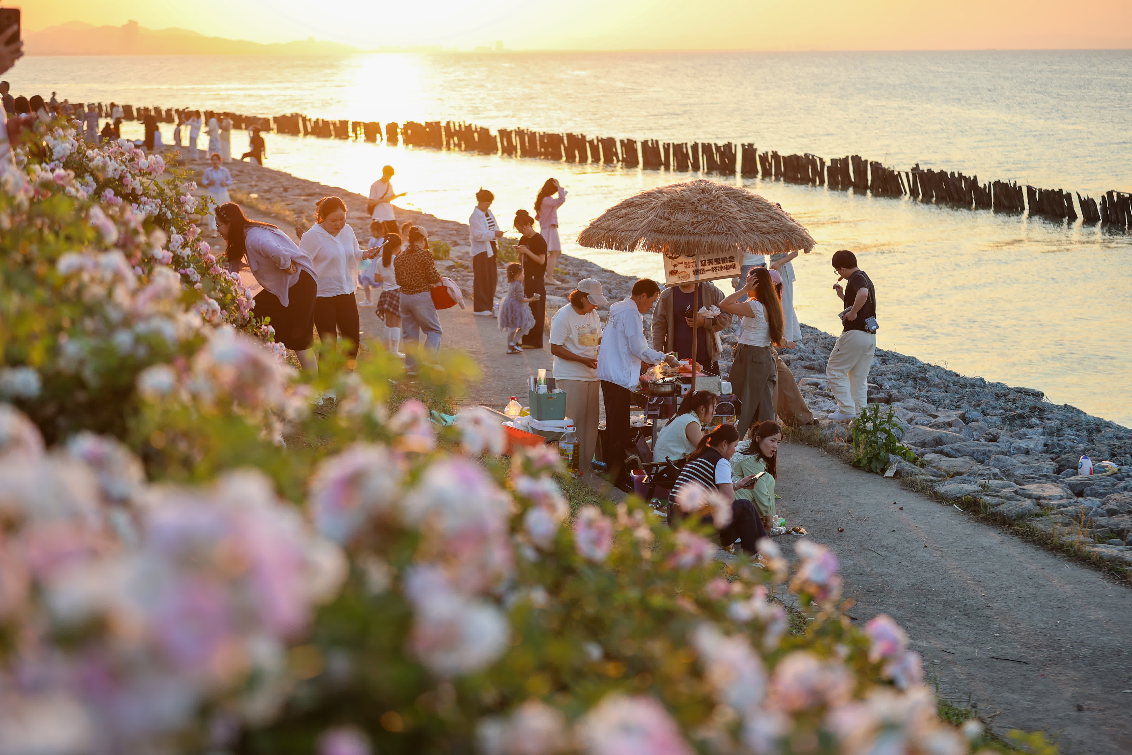 5月5日，遊人在浙江省湖州市吳興高新區幻漊村的薔薇花海遊玩。（新華社）