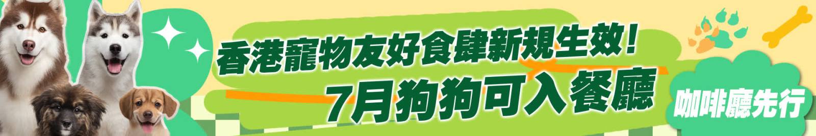 香港寵物友好食肆新規今生效！7月狗狗可入餐廳，咖啡廳先行