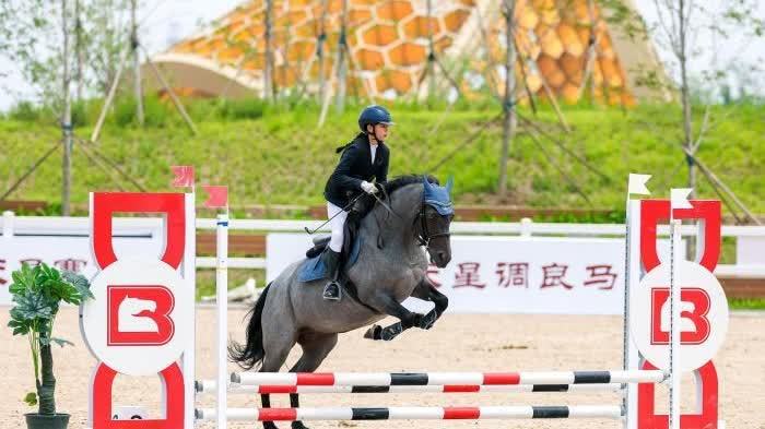 2026超級馬術俱樂部聯賽北京舉行