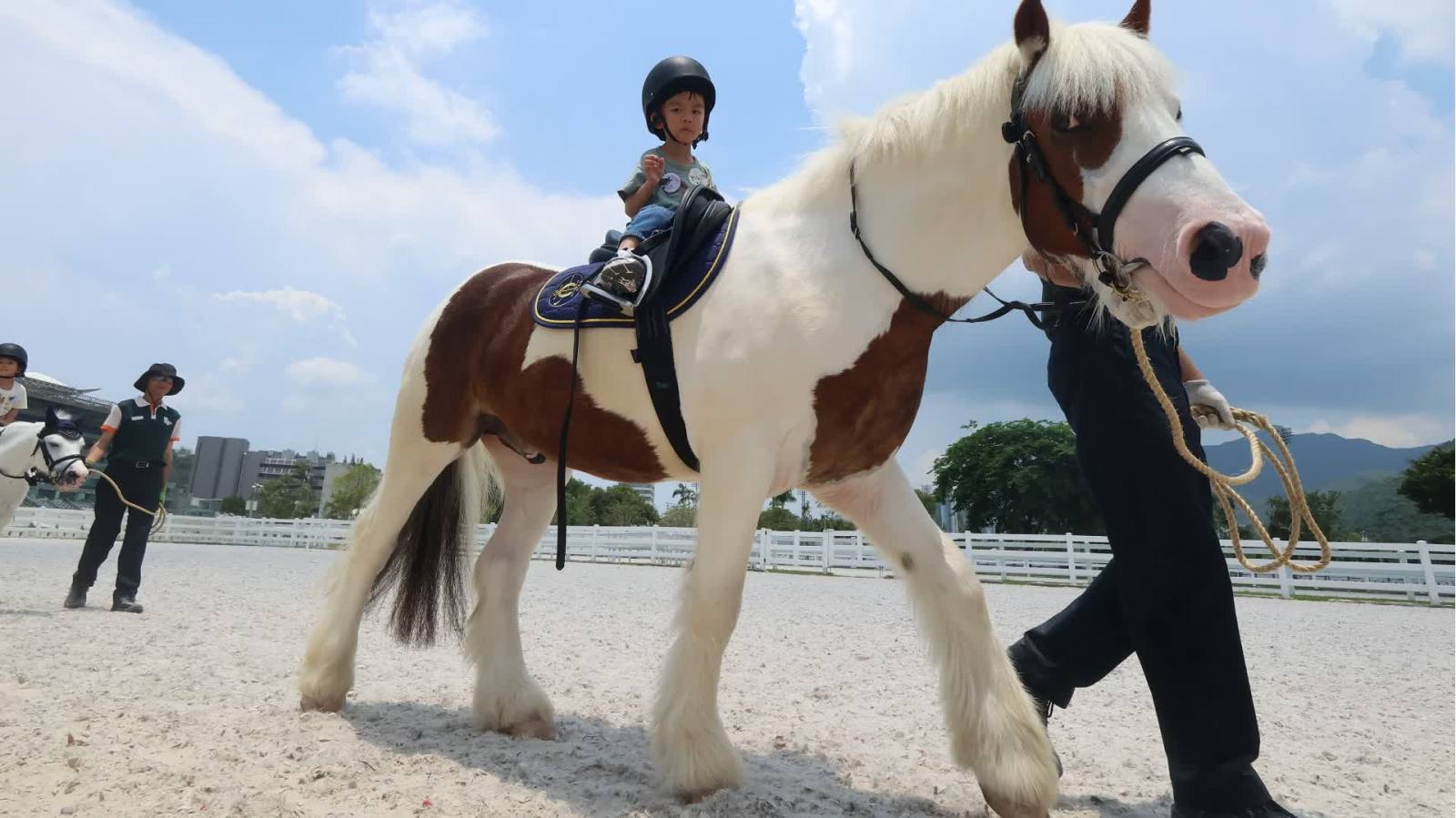 彭福公園「小馬大本營」6·22正式開放　市民可與迷你小馬留影