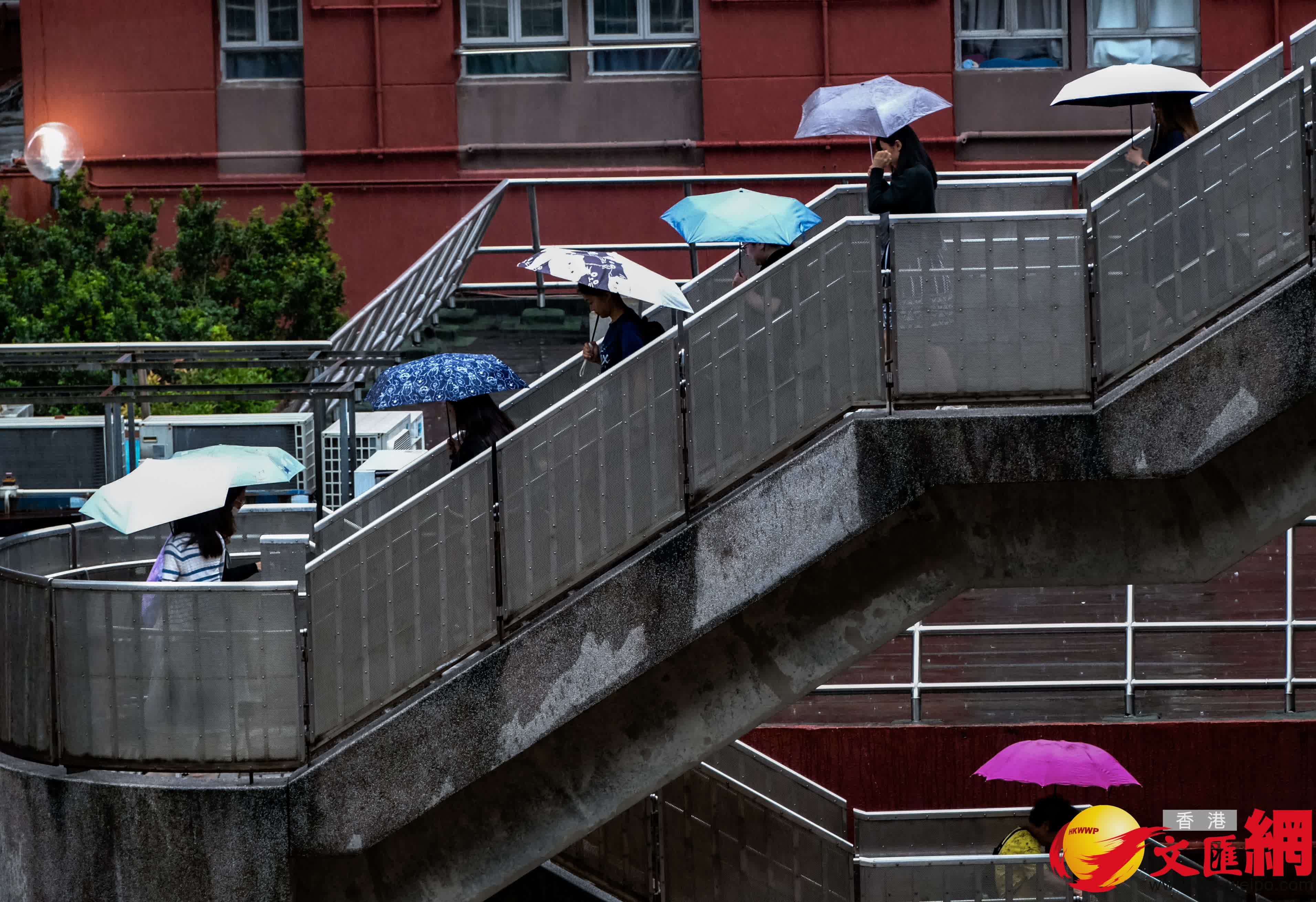 香港文匯報涂穴攝