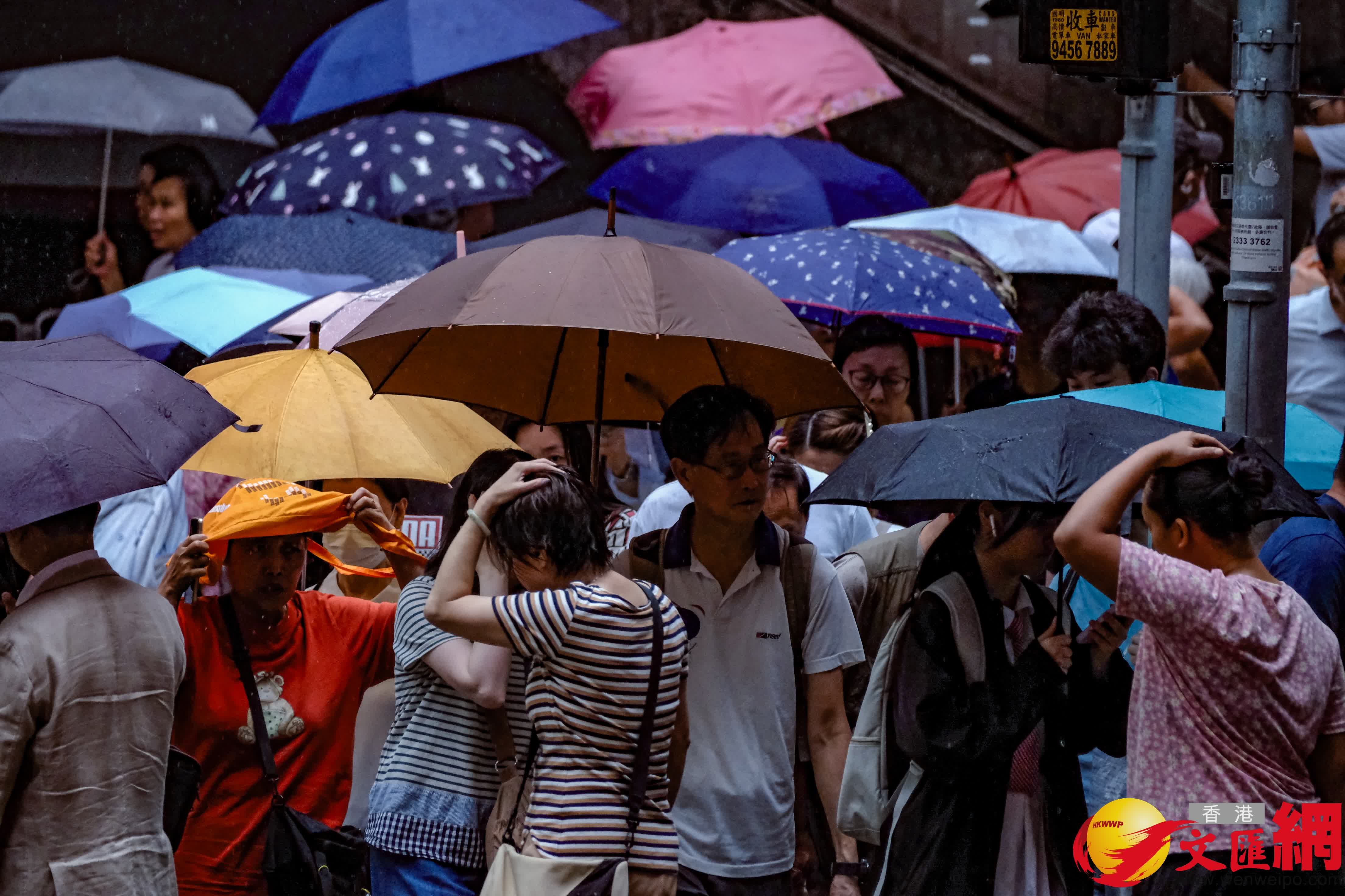 香港文匯報涂穴攝