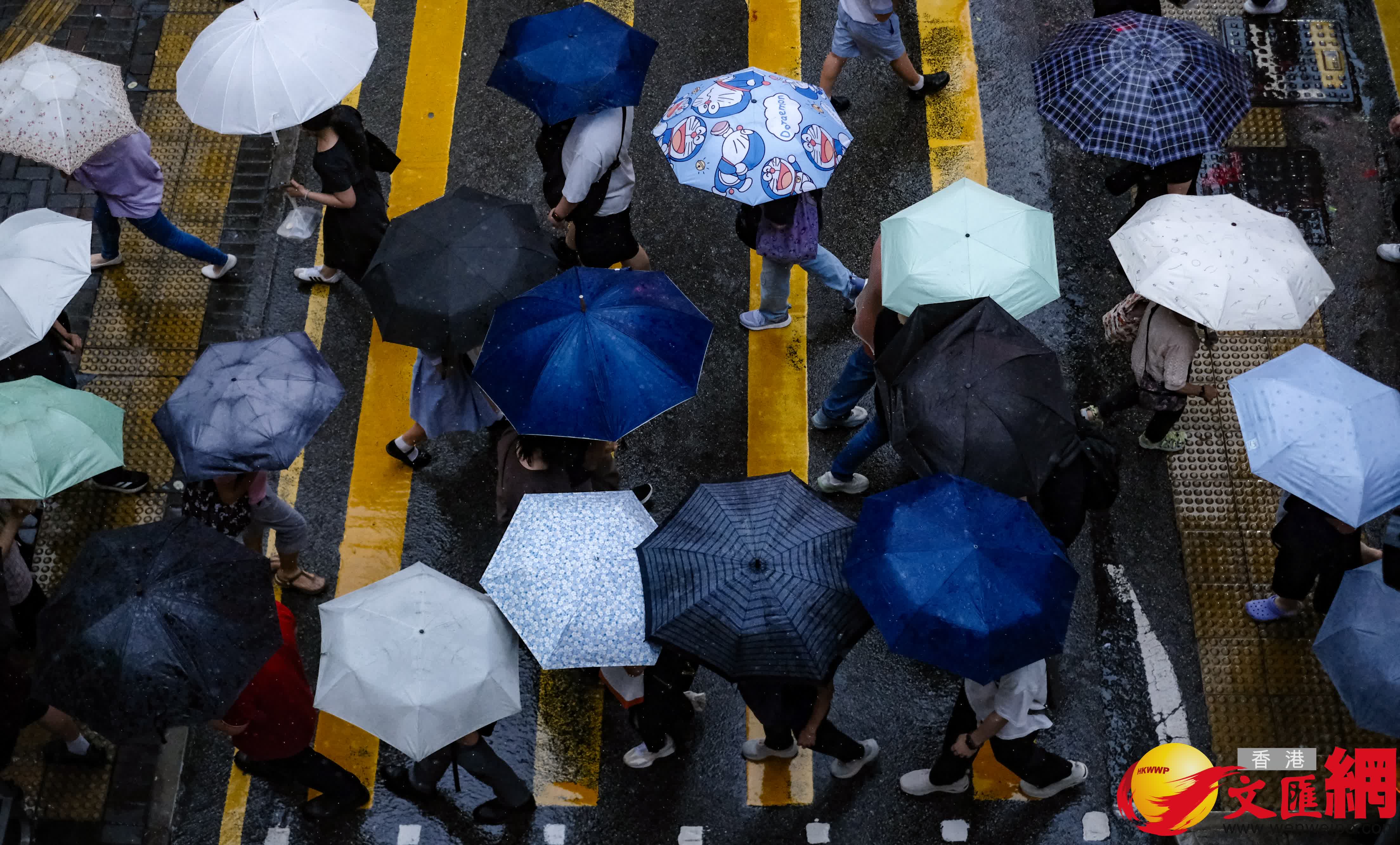 香港文匯報涂穴攝