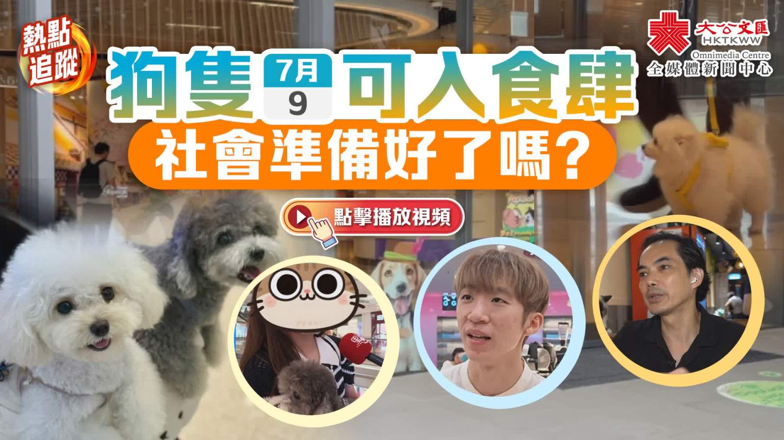 （有片）狗隻明可入食肆　社會準備好了嗎？