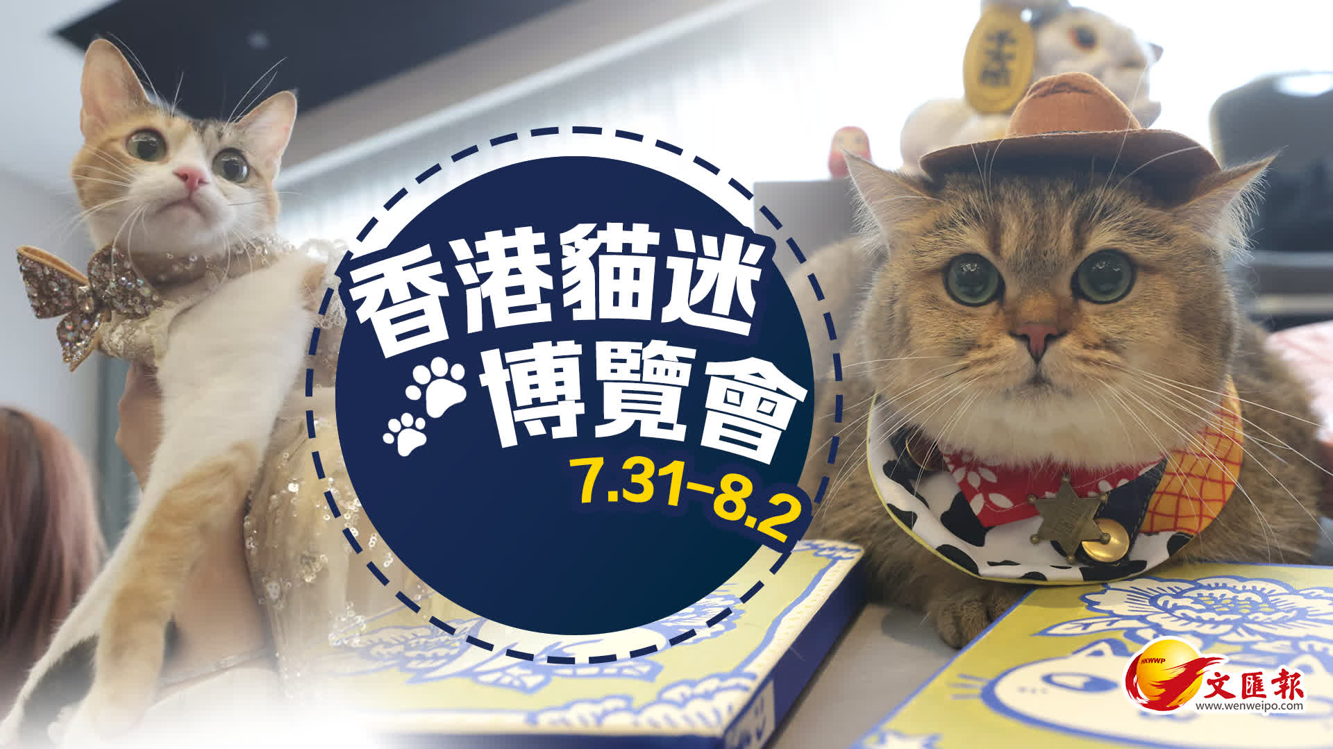 2026香港貓迷博覽會7.31會展開鑼　門票$30入場