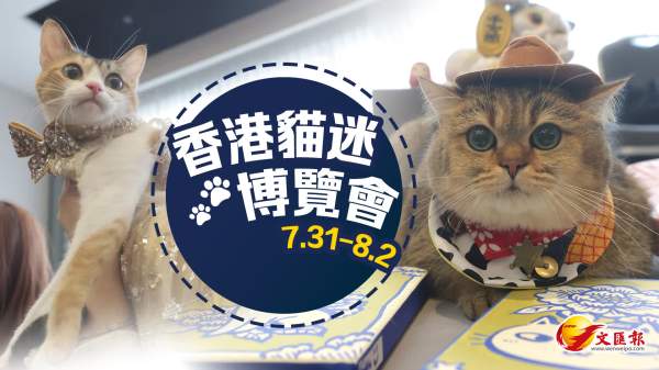 2026香港貓迷博覽會7.31會展開鑼　門票$30入場