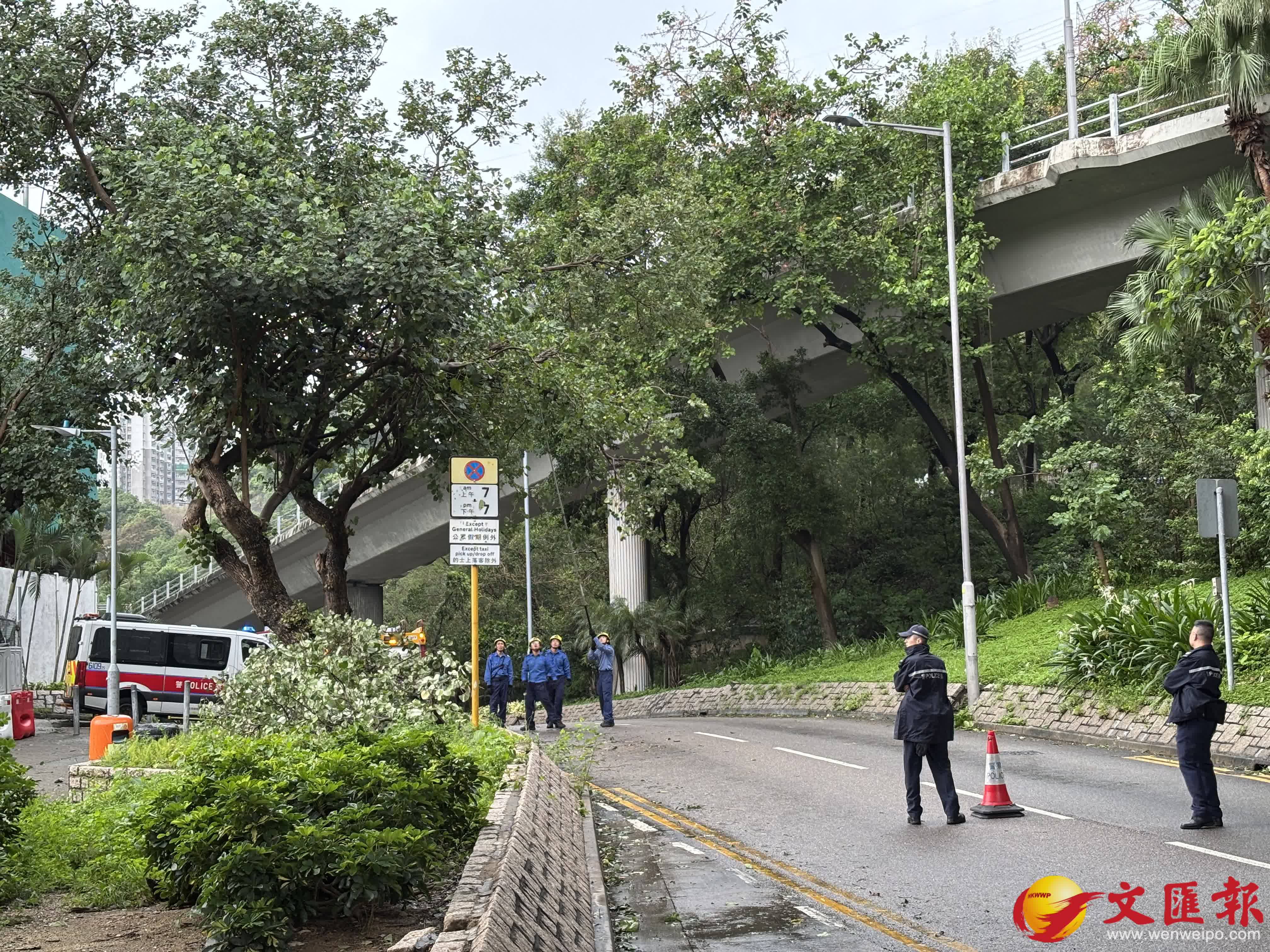 田灣海傍道興偉中心交通管制，警察與消防到場處理歪斜樹木。香港文匯報記者林涌傑攝