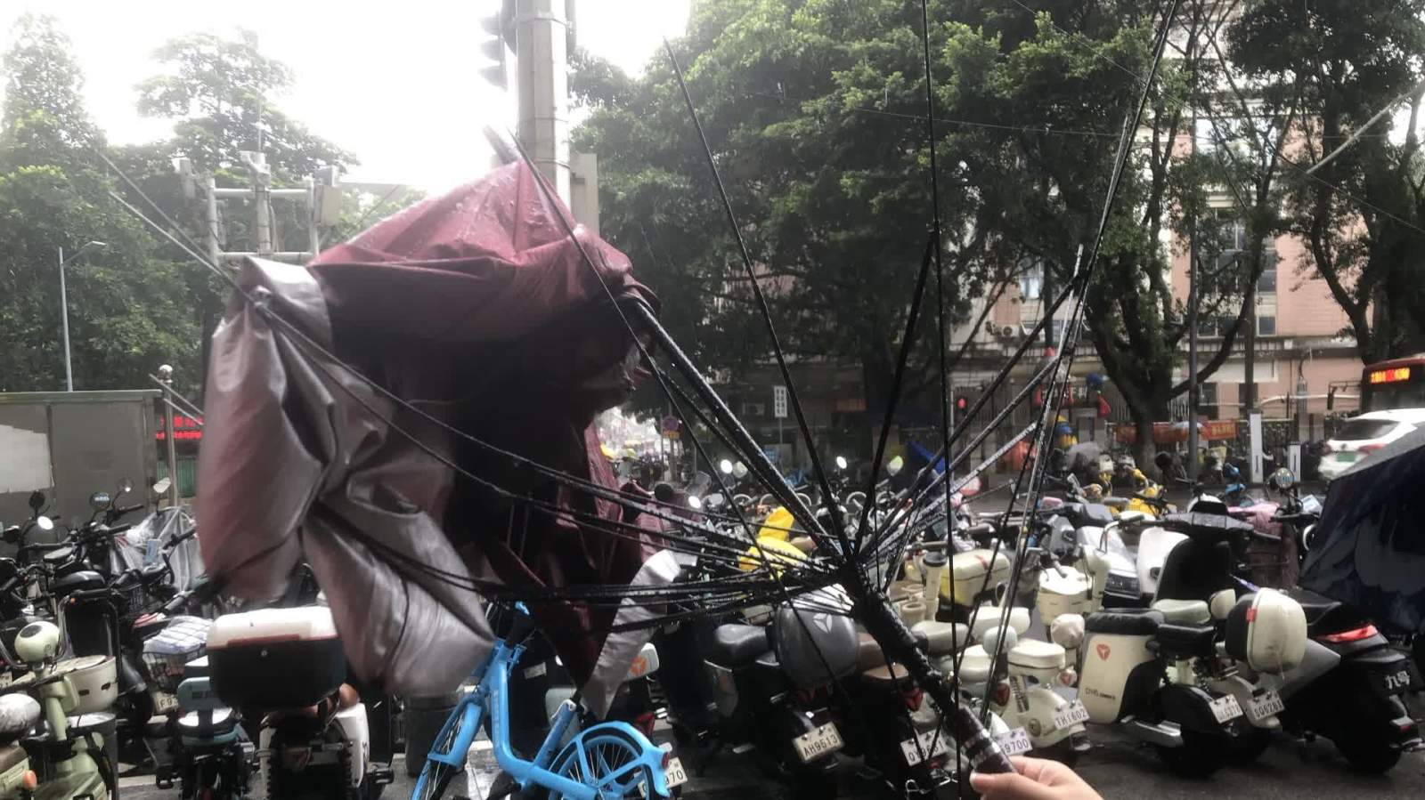颱風紅霞| 廣東多條鐵路26日有序恢復通行   廣深港高鐵部分班次下午起恢復運營