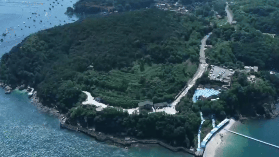 中國黃（渤）海候鳥棲息地再次擴展　遼寧長山群島成功納入世界自然遺產