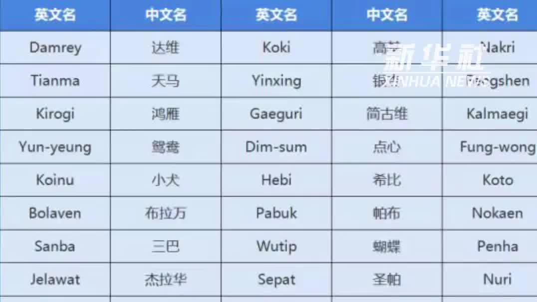 （有片）「紅霞」　「巴威」……颱風是怎麼命名的？