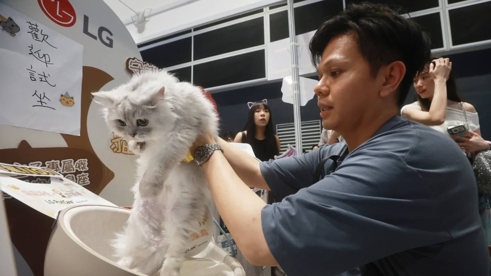 鏟屎官集合！香港貓迷博覽會現場直擊